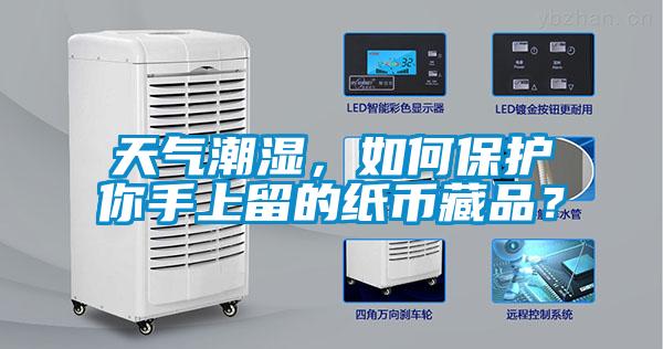 天氣潮濕，如何保護(hù)你手上留的紙幣藏品？