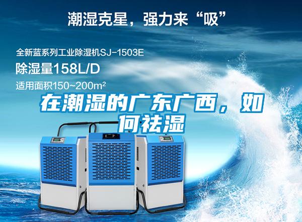 在潮濕的廣東廣西，如何祛濕