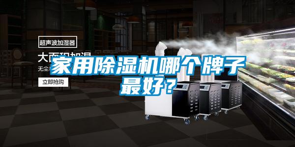 家用除濕機哪個牌子最好？