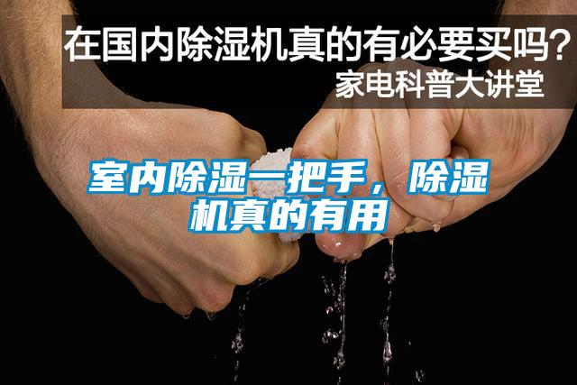 室內(nèi)除濕一把手，除濕機真的有用