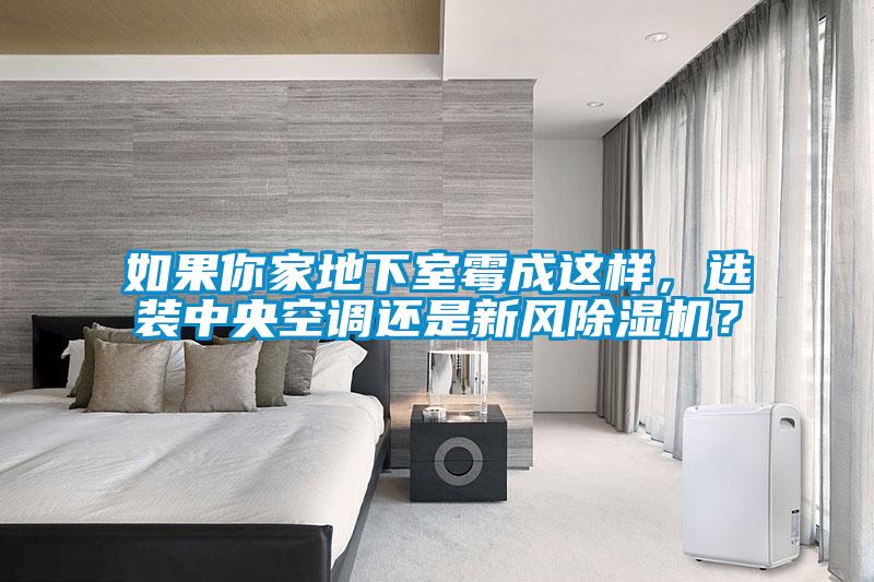 如果你家地下室霉成這樣，選裝中央空調(diào)還是新風(fēng)除濕機(jī)？