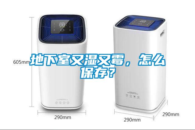 地下室又濕又霉，怎么保存？
