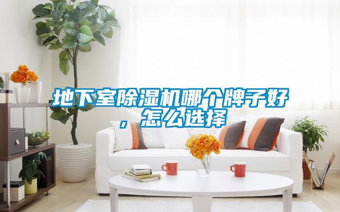 地下室除濕機(jī)哪個(gè)牌子好，怎么選擇
