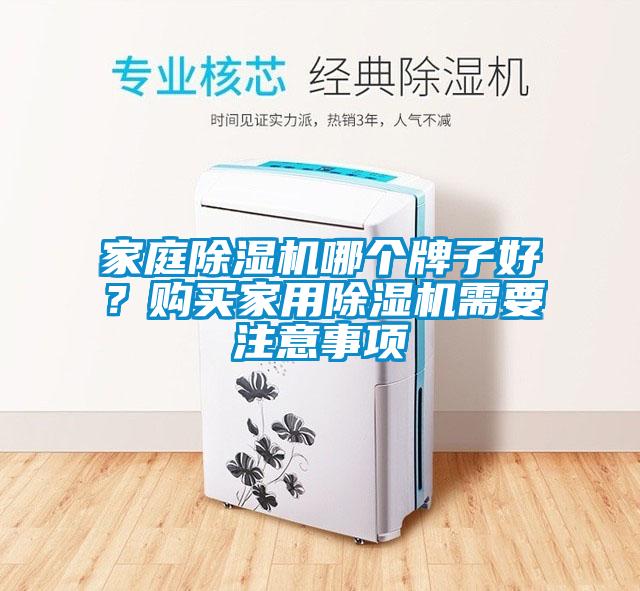 家庭除濕機哪個牌子好？購買家用除濕機需要注意事項