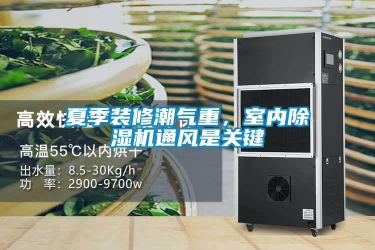 夏季裝修潮氣重，室內(nèi)除濕機(jī)通風(fēng)是關(guān)鍵