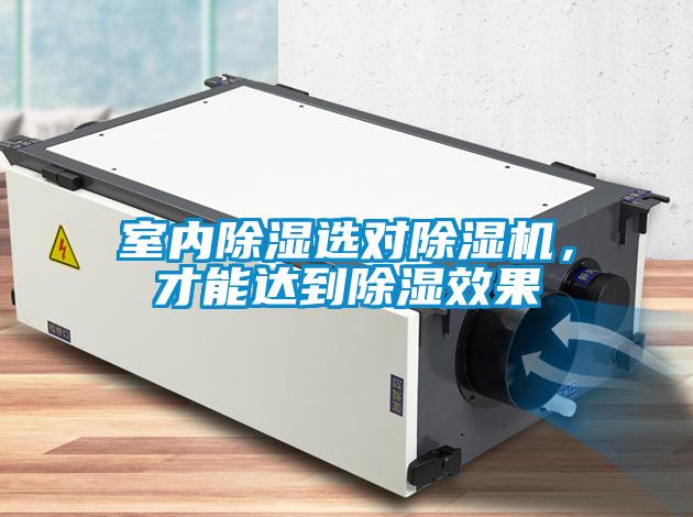 室內(nèi)除濕選對除濕機，才能達到除濕效果