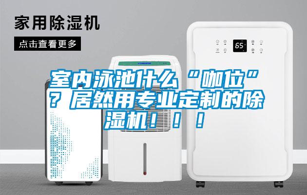 室內(nèi)泳池什么“咖位”？居然用專業(yè)定制的除濕機(jī)?。?！