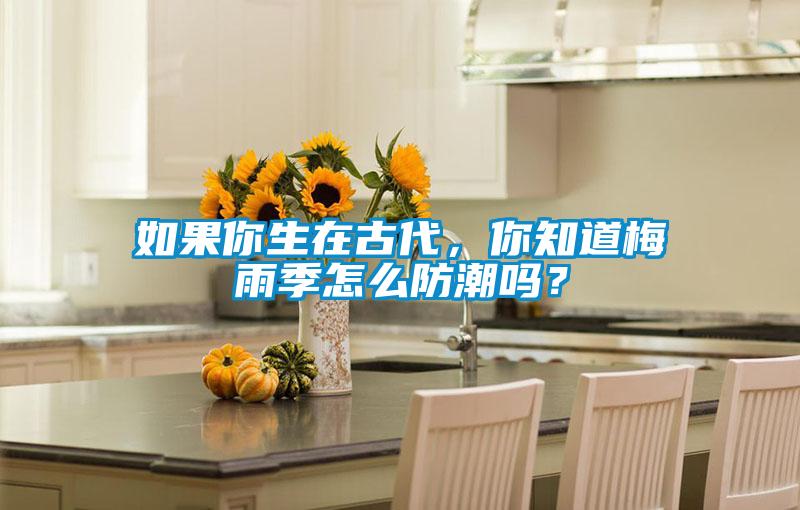 如果你生在古代，你知道梅雨季怎么防潮嗎？