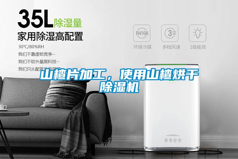 山楂片加工，使用山楂烘干除濕機