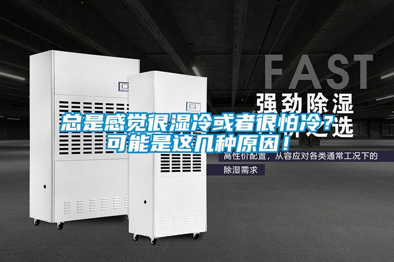 總是感覺(jué)很濕冷或者很怕冷？可能是這幾種原因！
