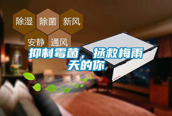 抑制霉菌，拯救梅雨天的你