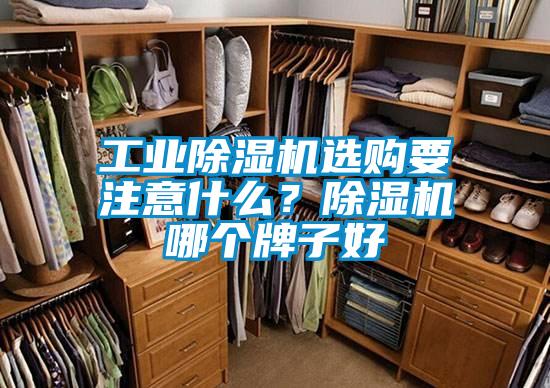 工業(yè)除濕機(jī)選購(gòu)要注意什么？除濕機(jī)哪個(gè)牌子好