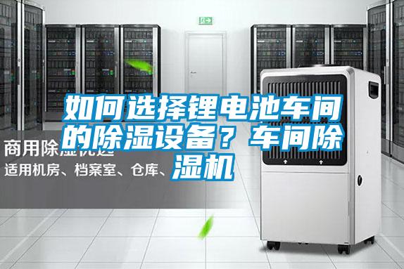 如何選擇鋰電池車間的除濕設(shè)備？車間除濕機(jī)