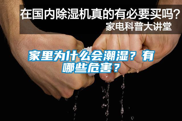 家里為什么會潮濕？有哪些危害？