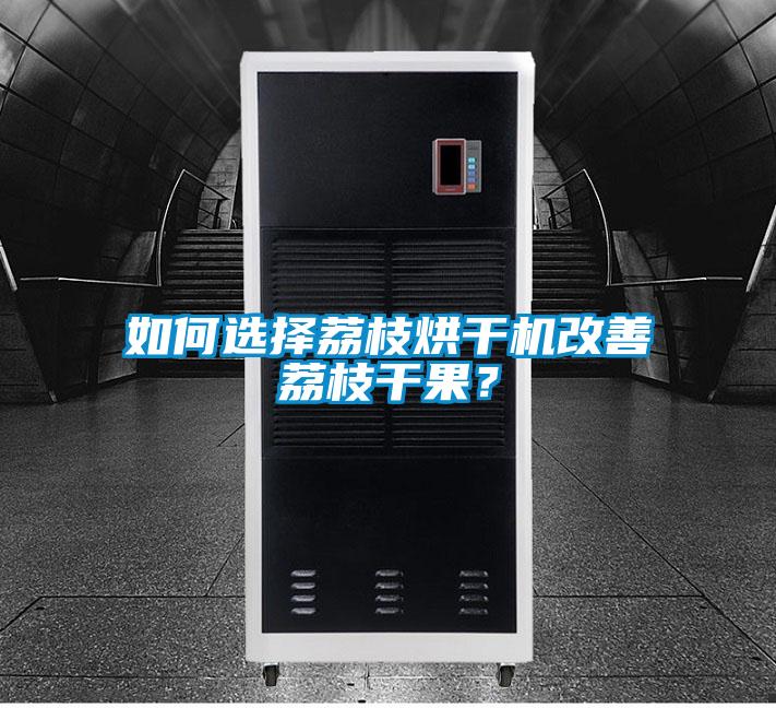 如何選擇荔枝烘干機改善荔枝干果？