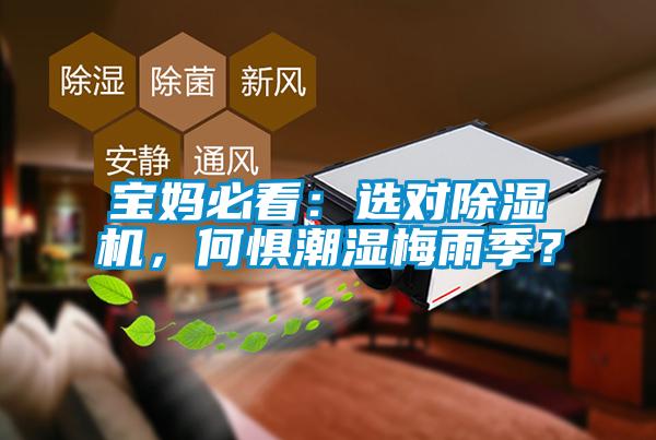 寶媽必看：選對除濕機，何懼潮濕梅雨季？