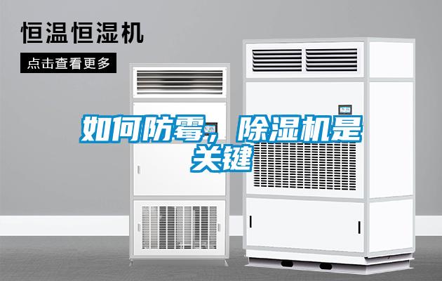 如何防霉，除濕機(jī)是關(guān)鍵