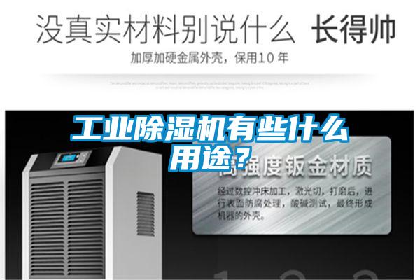工業(yè)除濕機有些什么用途？