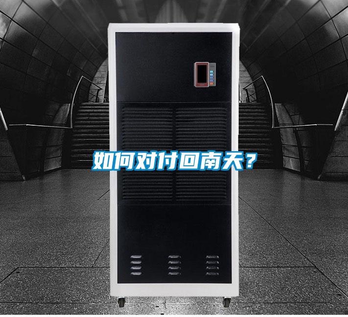 如何對付回南天？