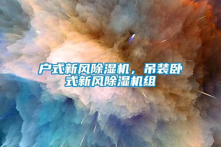戶式新風除濕機，吊裝臥式新風除濕機組