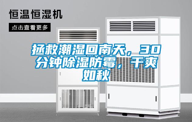 拯救潮濕回南天，30分鐘除濕防霉，干爽如秋