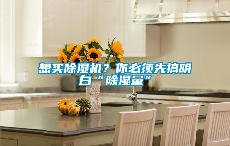 想買除濕機(jī)？你必須先搞明白“除濕量”