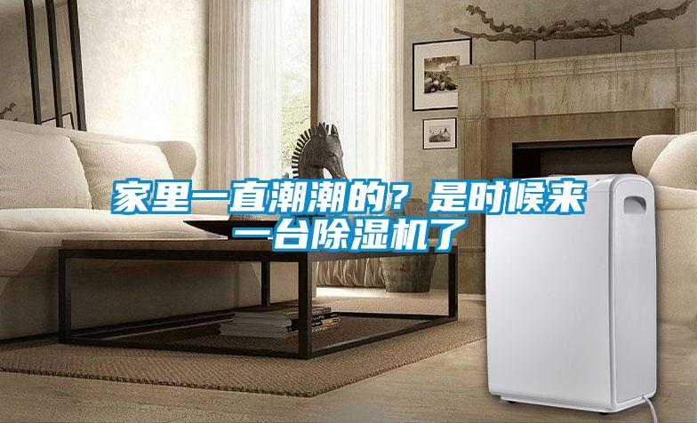 家里一直潮潮的？是時候來一臺除濕機了