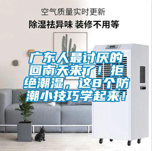 廣東人最討厭的回南天來了！拒絕潮濕，這8個防潮小技巧學(xué)起來！