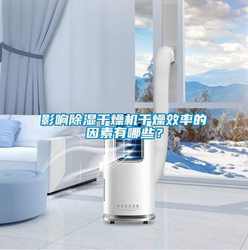 影響除濕干燥機干燥效率的因素有哪些？