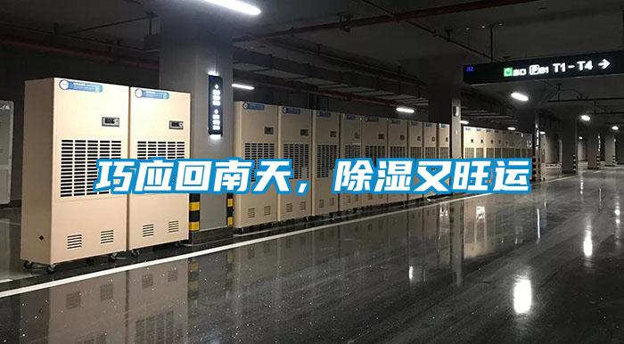 巧應(yīng)回南天，除濕又旺運