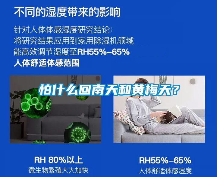 怕什么回南天和黃梅天？