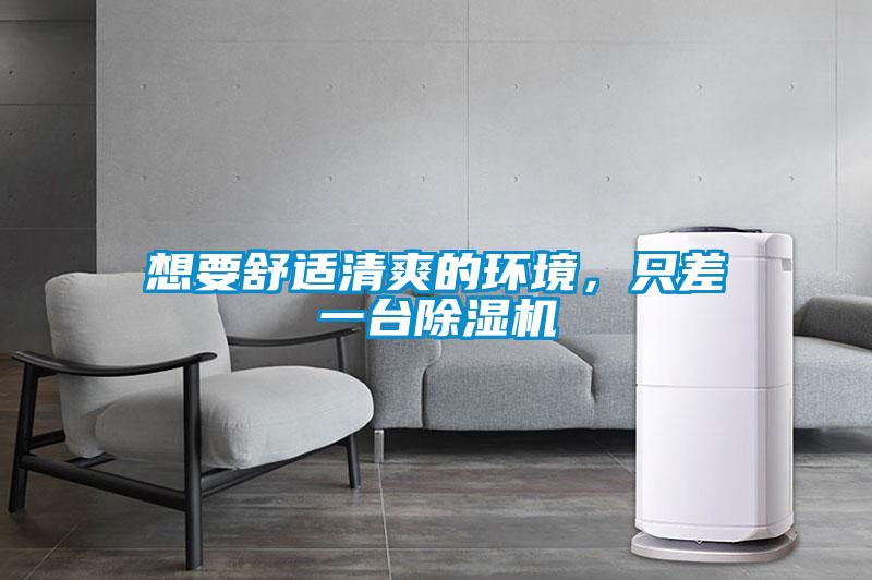 想要舒適清爽的環(huán)境，只差一臺除濕機(jī)
