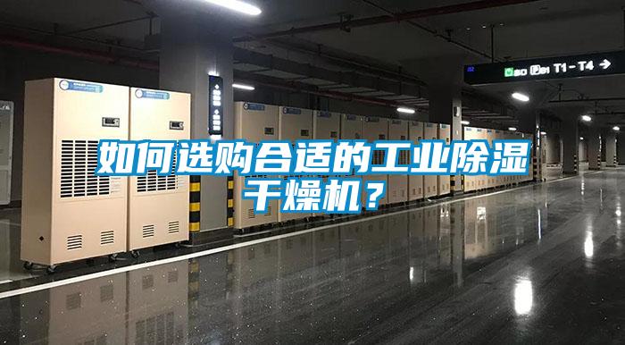 如何選購合適的工業(yè)除濕干燥機？