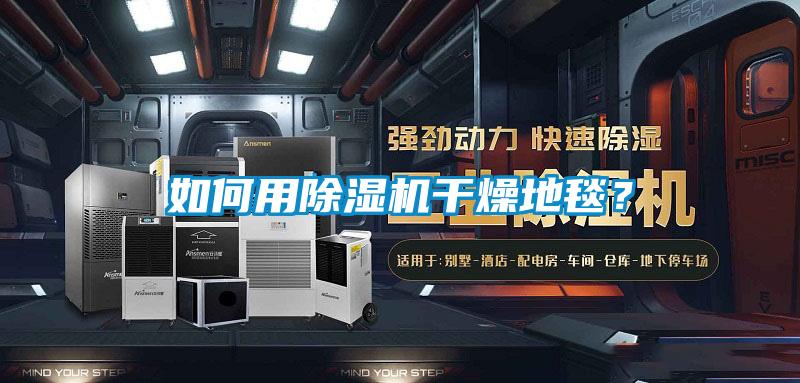 如何用除濕機(jī)干燥地毯？