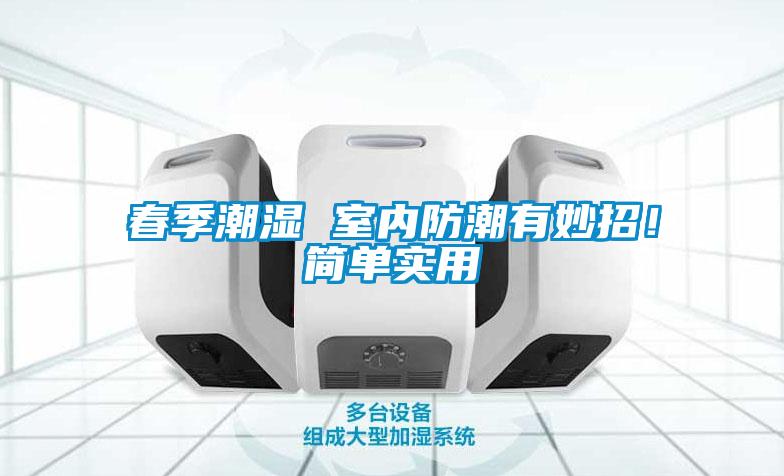 春季潮濕 室內(nèi)防潮有妙招！簡單實用