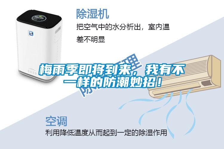梅雨季即將到來(lái)，我有不一樣的防潮妙招！