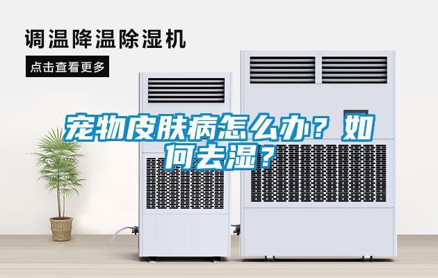 寵物皮膚病怎么辦？如何去濕？