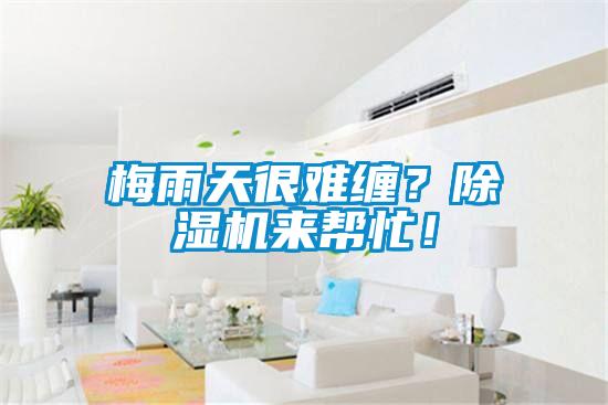 梅雨天很難纏？除濕機(jī)來幫忙！