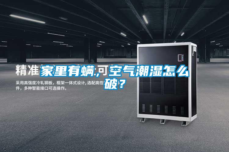 家里有螨，空氣潮濕怎么破？