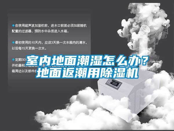 室內(nèi)地面潮濕怎么辦？地面返潮用除濕機(jī)