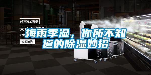 梅雨季濕，你所不知道的除濕妙招