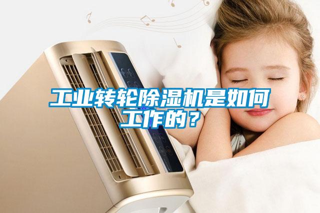 工業(yè)轉(zhuǎn)輪除濕機是如何工作的？