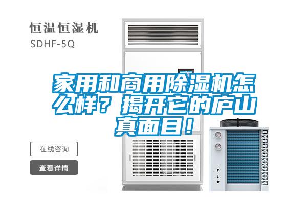 家用和商用除濕機怎么樣？揭開它的廬山真面目！