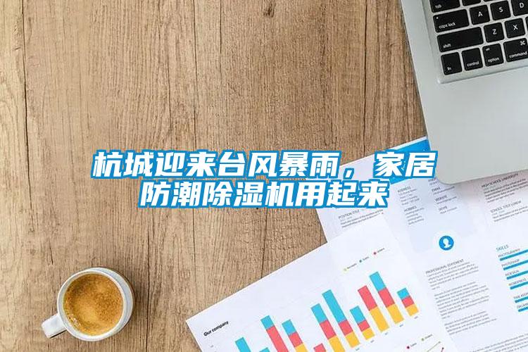 杭城迎來臺(tái)風(fēng)暴雨，家居防潮除濕機(jī)用起來