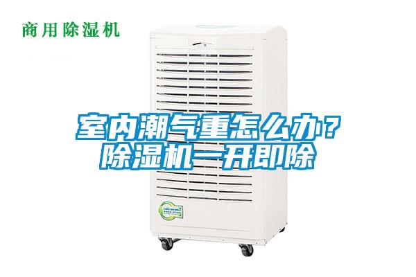 室內(nèi)潮氣重怎么辦？除濕機(jī)一開即除