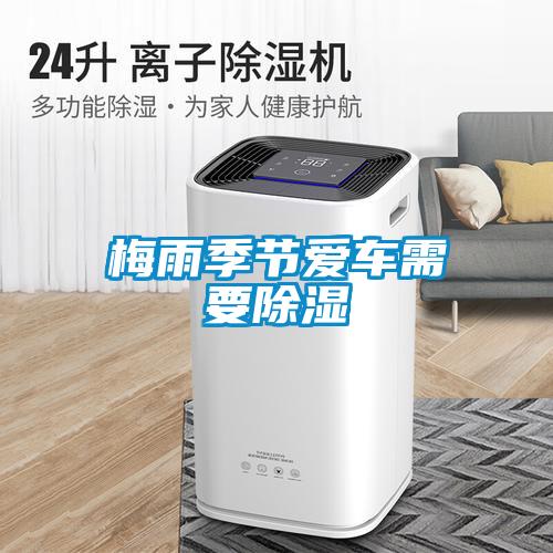 濕氣太重，大不如前！安詩曼除濕機(jī)還你健康好身體！