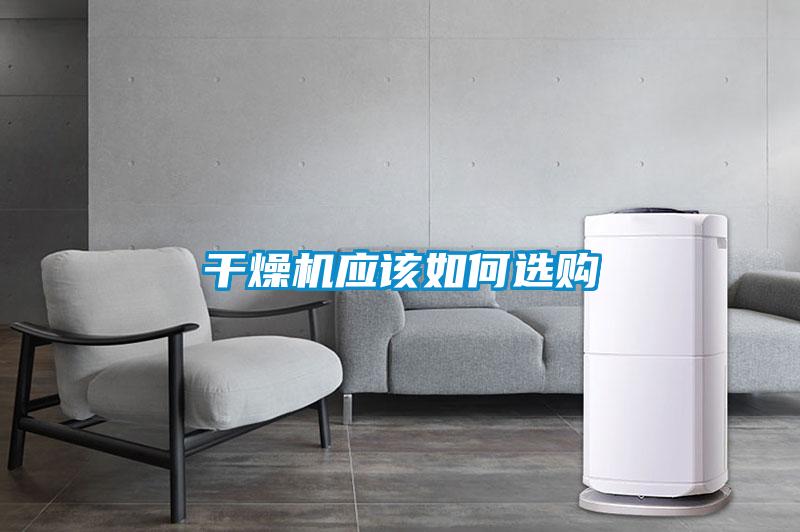 年年除濕年年濕，如何快速除濕？