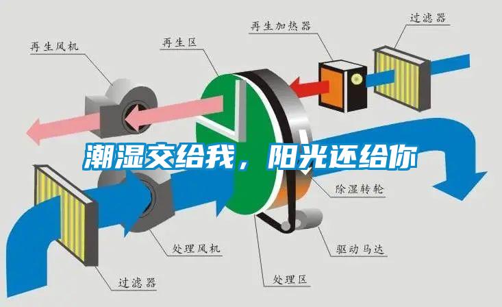 潮濕傷于無形，除濕機(jī)來防范
