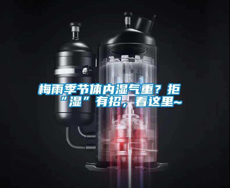 梅雨季節(jié)體內濕氣重？拒“濕”有招，看這里~