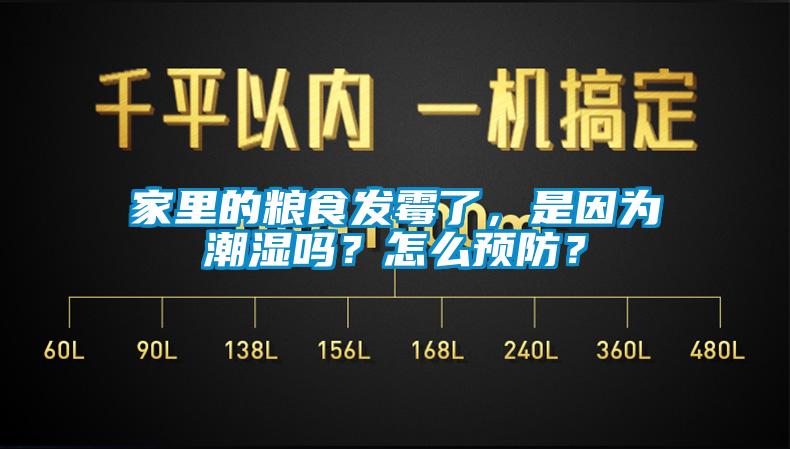 家里的糧食發(fā)霉了，是因為潮濕嗎？怎么預防？